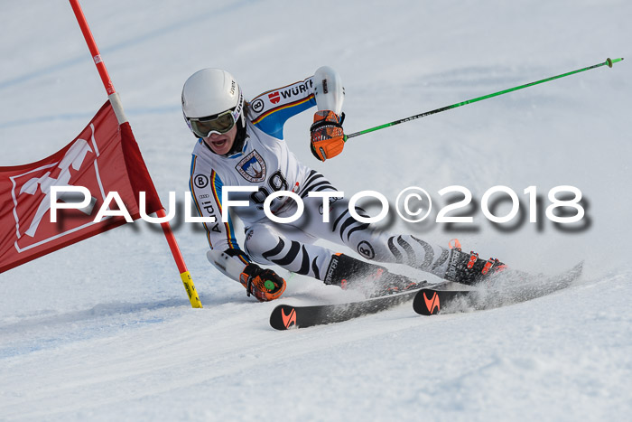 Int. FIS Rennen Herren, RS, Maria Alm 11.01.2018