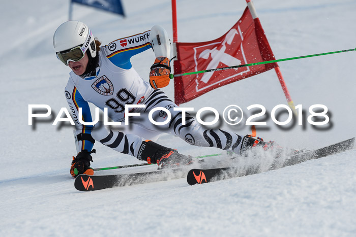 Int. FIS Rennen Herren, RS, Maria Alm 11.01.2018
