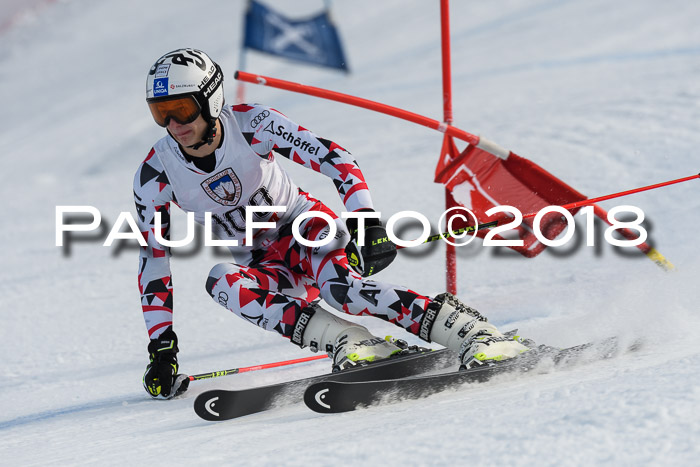 Int. FIS Rennen Herren, RS, Maria Alm 11.01.2018