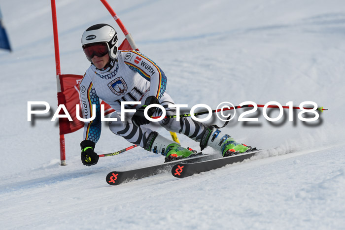 Int. FIS Rennen Herren, RS, Maria Alm 11.01.2018
