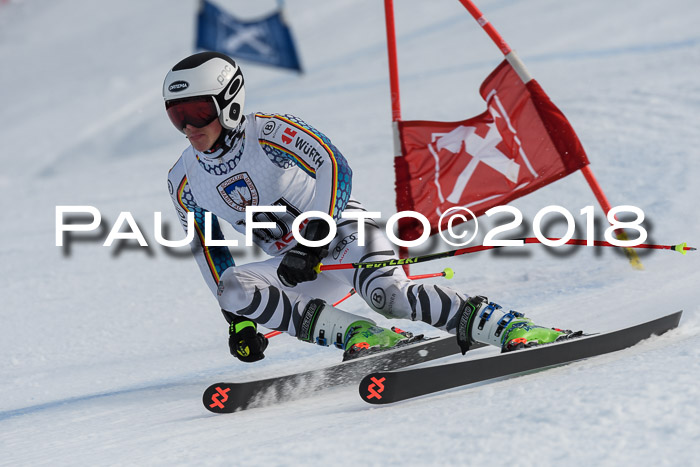 Int. FIS Rennen Herren, RS, Maria Alm 11.01.2018