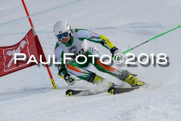 Int. FIS Rennen Herren, RS, Maria Alm 11.01.2018