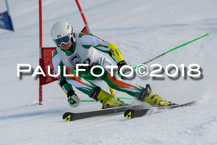 Int. FIS Rennen Herren, RS, Maria Alm 11.01.2018