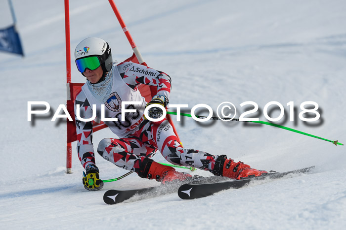 Int. FIS Rennen Herren, RS, Maria Alm 11.01.2018