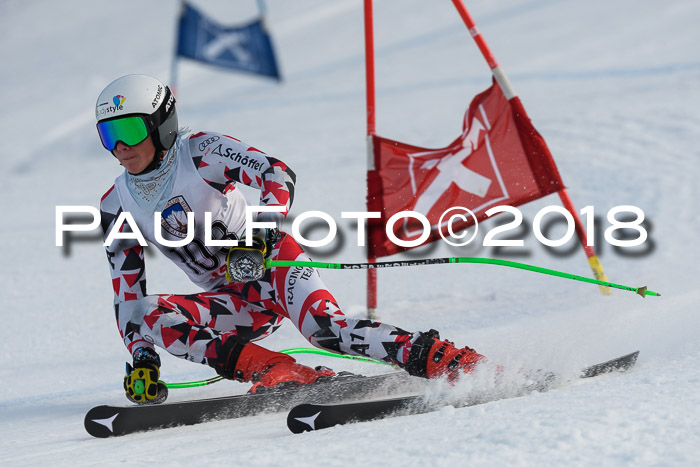 Int. FIS Rennen Herren, RS, Maria Alm 11.01.2018