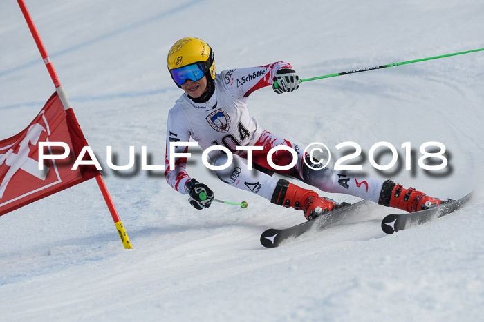 Int. FIS Rennen Herren, RS, Maria Alm 11.01.2018