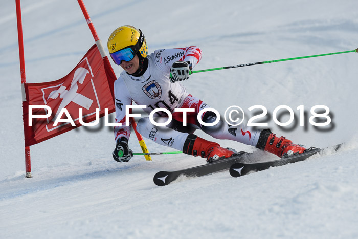 Int. FIS Rennen Herren, RS, Maria Alm 11.01.2018