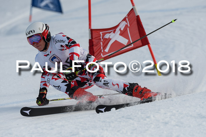 Int. FIS Rennen Herren, RS, Maria Alm 11.01.2018