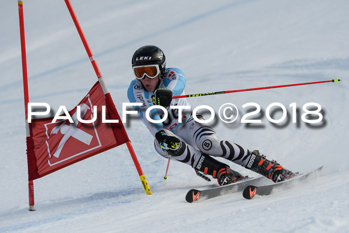 Int. FIS Rennen Herren, RS, Maria Alm 11.01.2018