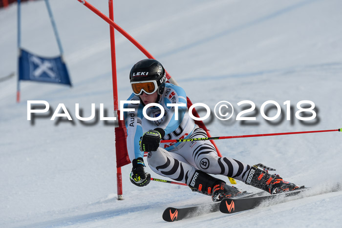 Int. FIS Rennen Herren, RS, Maria Alm 11.01.2018