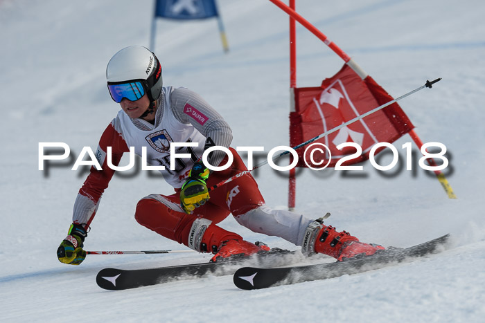 Int. FIS Rennen Herren, RS, Maria Alm 11.01.2018