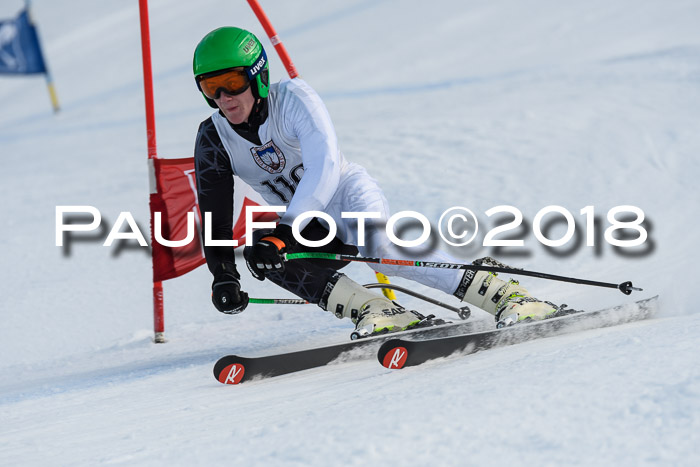 Int. FIS Rennen Herren, RS, Maria Alm 11.01.2018