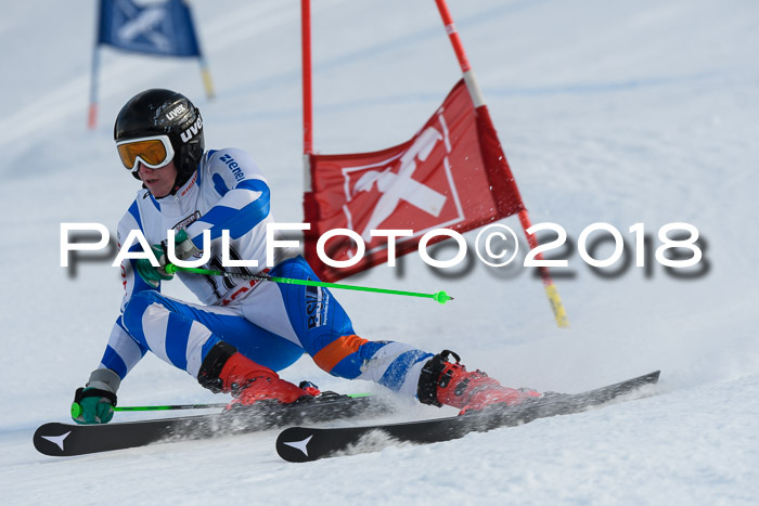 Int. FIS Rennen Herren, RS, Maria Alm 11.01.2018