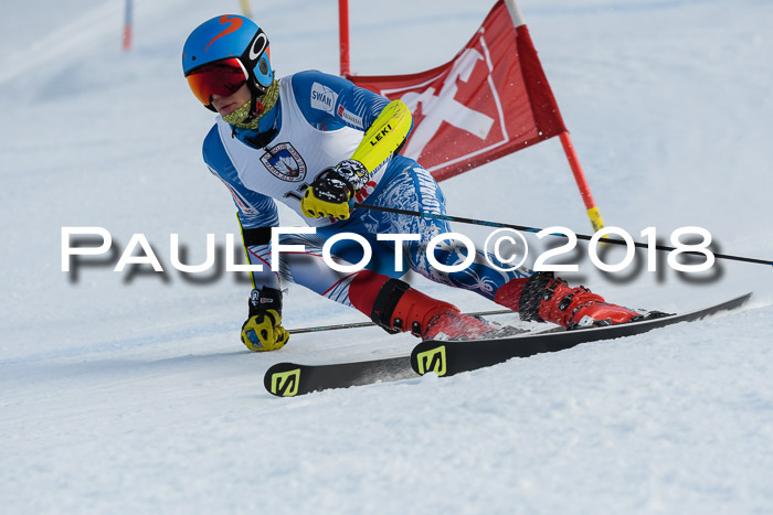 Int. FIS Rennen Herren, RS, Maria Alm 11.01.2018