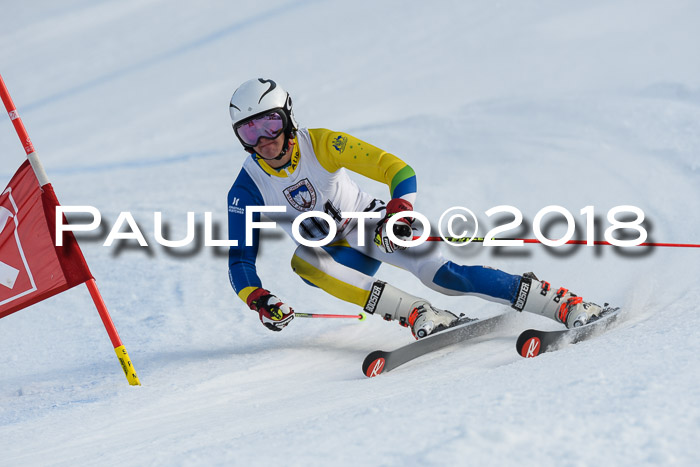 Int. FIS Rennen Herren, RS, Maria Alm 11.01.2018