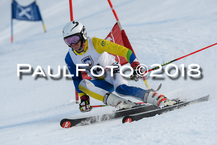 Int. FIS Rennen Herren, RS, Maria Alm 11.01.2018