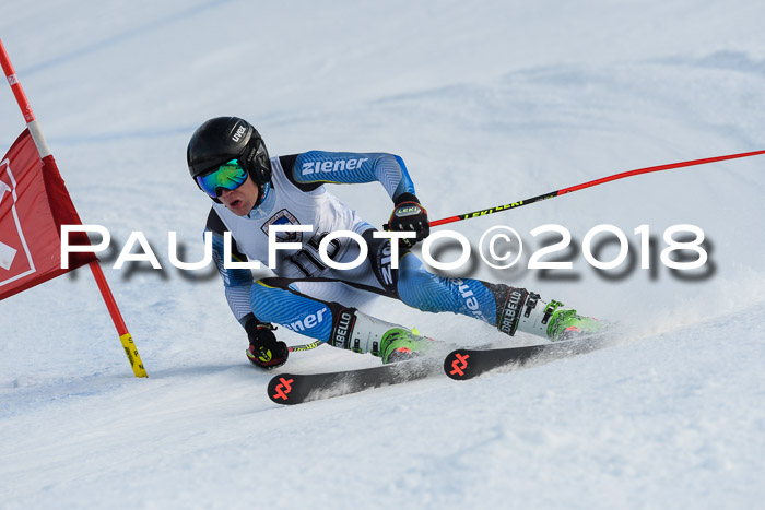 Int. FIS Rennen Herren, RS, Maria Alm 11.01.2018