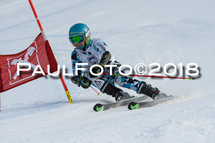 Int. FIS Rennen Herren, RS, Maria Alm 11.01.2018