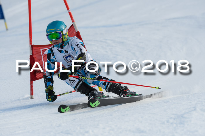 Int. FIS Rennen Herren, RS, Maria Alm 11.01.2018