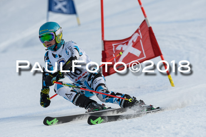 Int. FIS Rennen Herren, RS, Maria Alm 11.01.2018