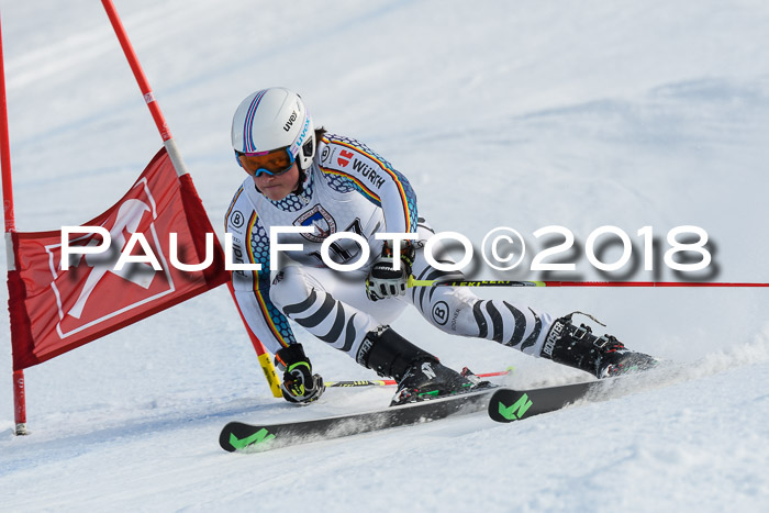 Int. FIS Rennen Herren, RS, Maria Alm 11.01.2018