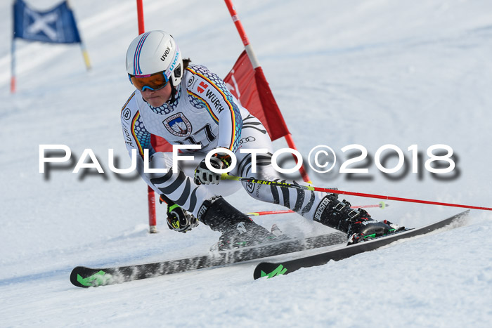 Int. FIS Rennen Herren, RS, Maria Alm 11.01.2018