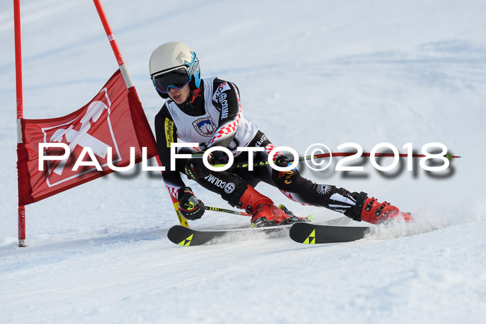 Int. FIS Rennen Herren, RS, Maria Alm 11.01.2018