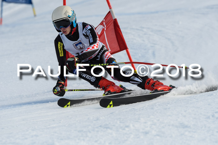 Int. FIS Rennen Herren, RS, Maria Alm 11.01.2018