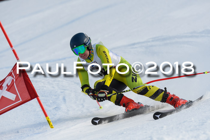 Int. FIS Rennen Herren, RS, Maria Alm 11.01.2018