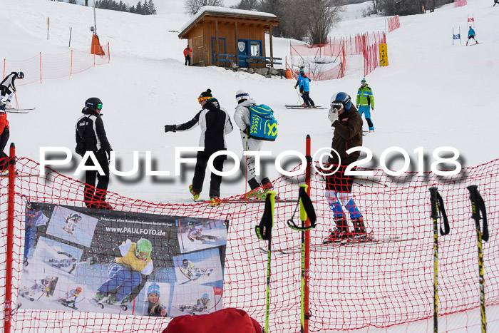 Int. FIS Rennen Herren, RS, Maria Alm 11.01.2018