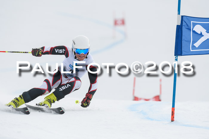 Int. FIS Rennen Herren, RS, Maria Alm 11.01.2018