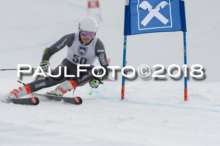 Int. FIS Rennen Herren, RS, Maria Alm 11.01.2018