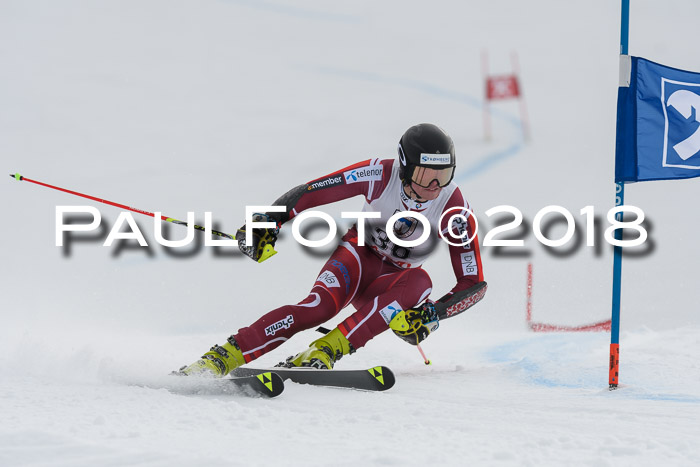 Int. FIS Rennen Herren, RS, Maria Alm 11.01.2018