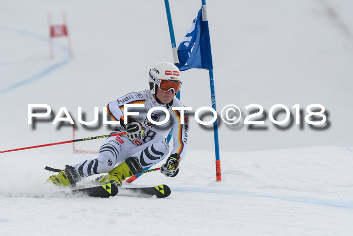 Int. FIS Rennen Herren, RS, Maria Alm 11.01.2018