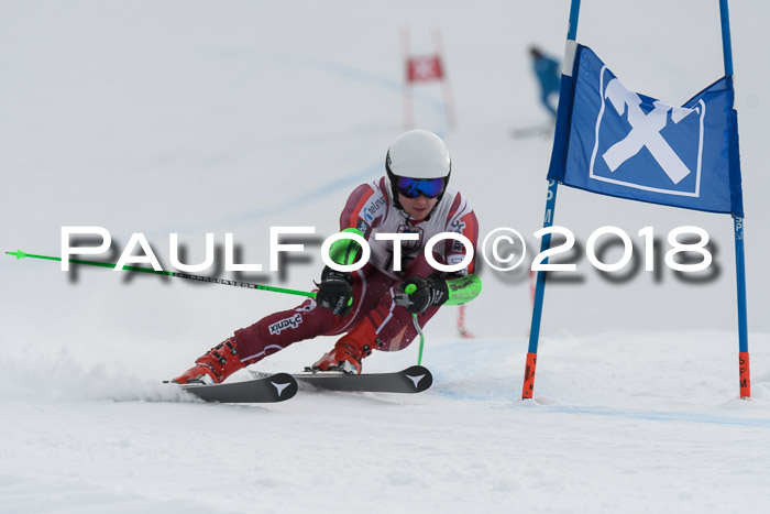 Int. FIS Rennen Herren, RS, Maria Alm 11.01.2018