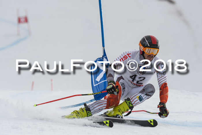 Int. FIS Rennen Herren, RS, Maria Alm 11.01.2018