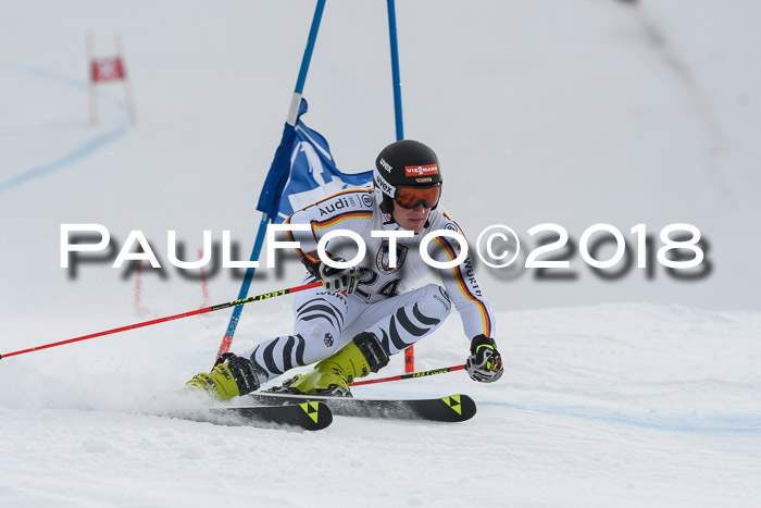 Int. FIS Rennen Herren, RS, Maria Alm 11.01.2018
