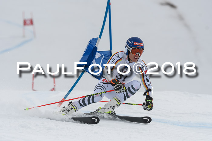 Int. FIS Rennen Herren, RS, Maria Alm 11.01.2018