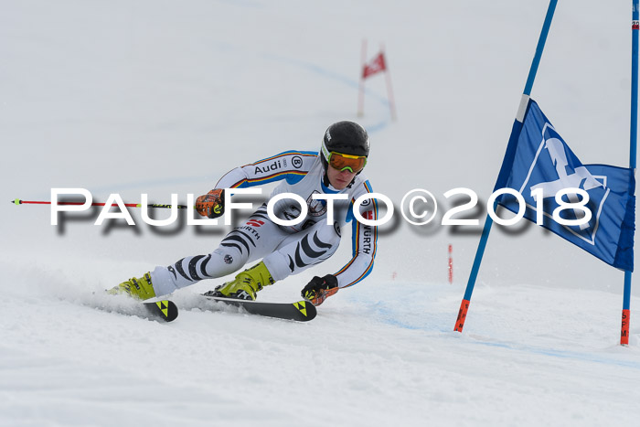 Int. FIS Rennen Herren, RS, Maria Alm 11.01.2018