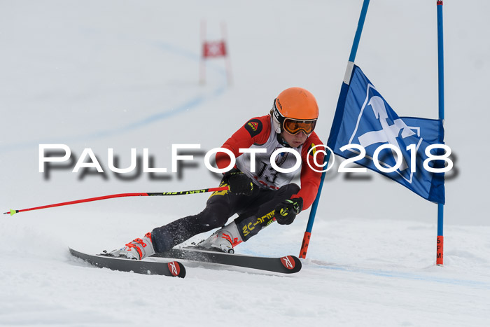 Int. FIS Rennen Herren, RS, Maria Alm 11.01.2018