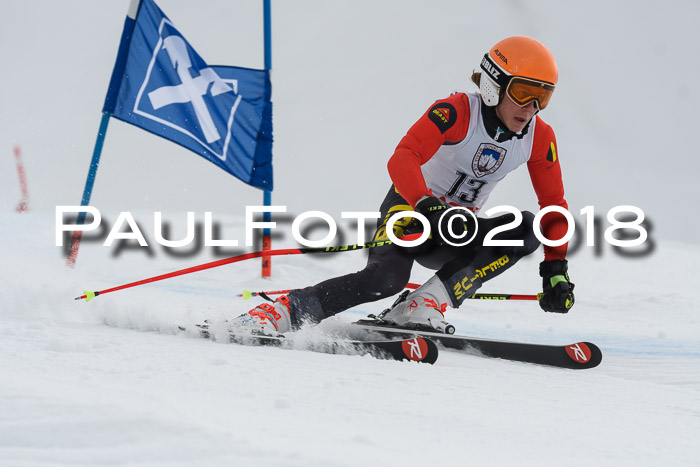 Int. FIS Rennen Herren, RS, Maria Alm 11.01.2018