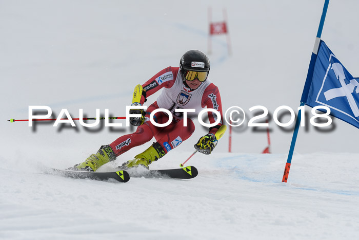 Int. FIS Rennen Herren, RS, Maria Alm 11.01.2018