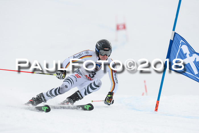 Int. FIS Rennen Herren, RS, Maria Alm 11.01.2018
