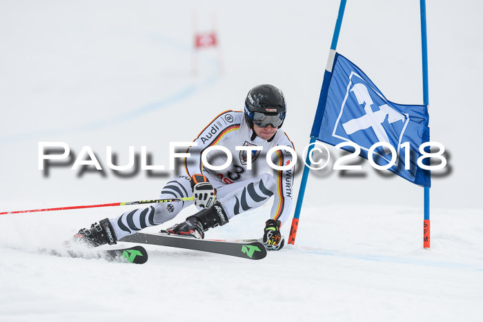 Int. FIS Rennen Herren, RS, Maria Alm 11.01.2018