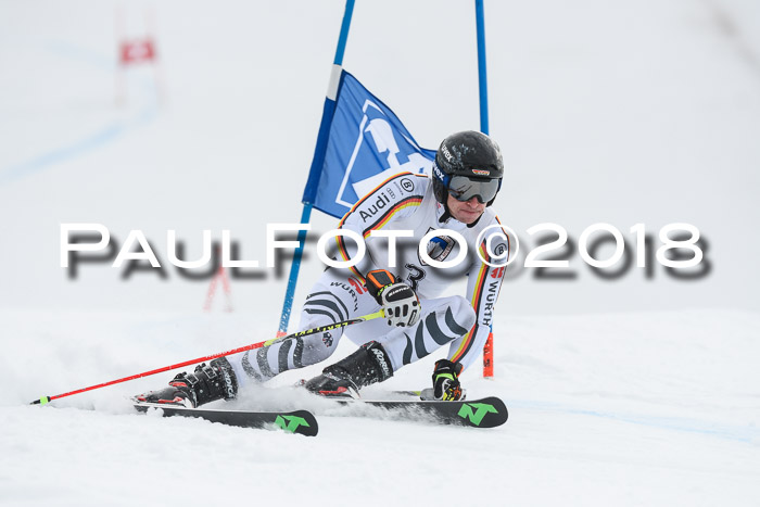 Int. FIS Rennen Herren, RS, Maria Alm 11.01.2018