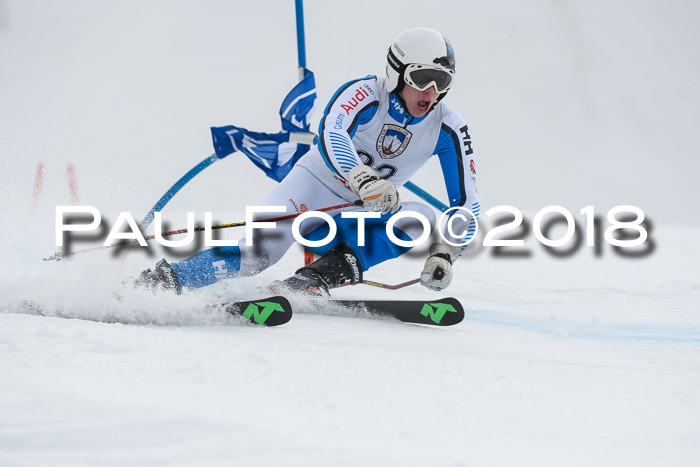 Int. FIS Rennen Herren, RS, Maria Alm 11.01.2018