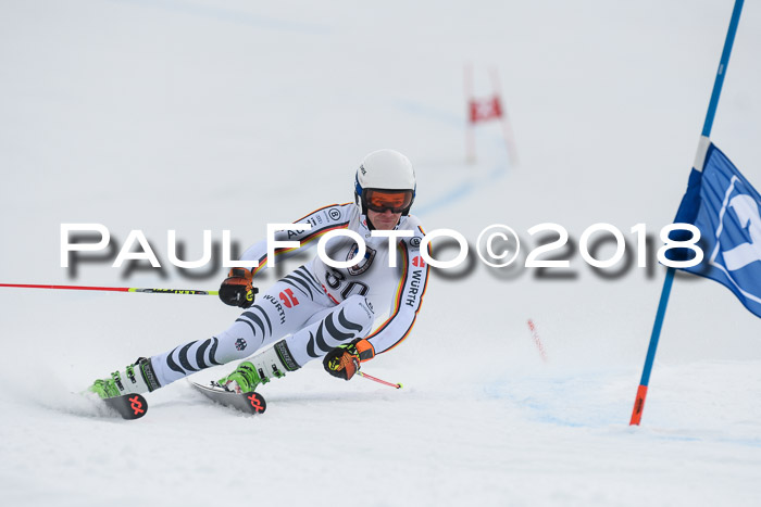 Int. FIS Rennen Herren, RS, Maria Alm 11.01.2018