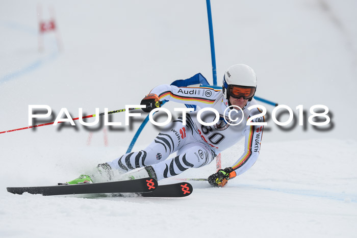 Int. FIS Rennen Herren, RS, Maria Alm 11.01.2018