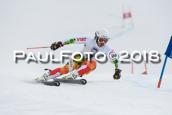 Int. FIS Rennen Herren, RS, Maria Alm 11.01.2018