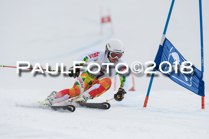 Int. FIS Rennen Herren, RS, Maria Alm 11.01.2018